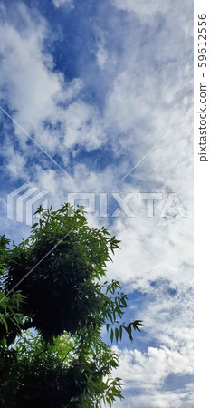 Sky Sky 59612556