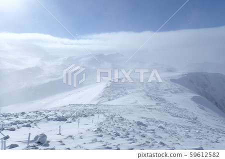 北海道大雪山黑岳站在冬天的山頂 59612582