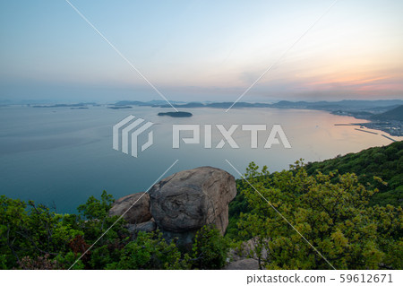 王子竹的風景 王子竹的風景 59612671
