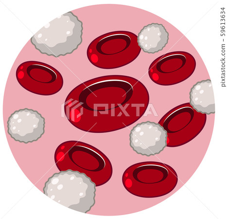 Red and white blood cells 59613634