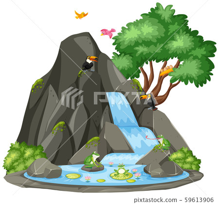 Background scene of toucan and frog by the 59613906