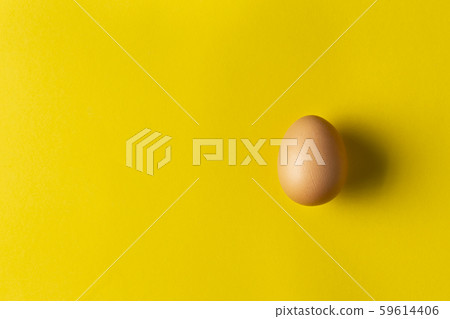 one chicken egg 59614406
