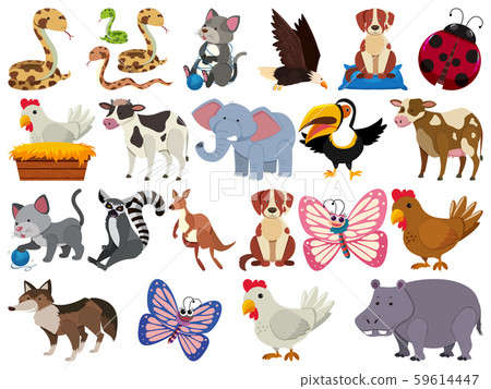 Set of isolated objects of animals 59614447