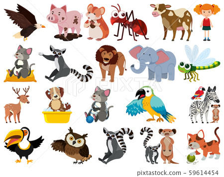 Set of isolated objects theme animals 59614454
