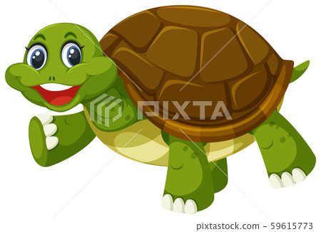 A turtle on white background 59615773