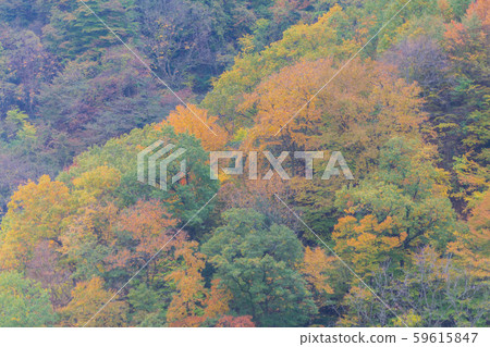 Tokuyama Dam 8594 59615847