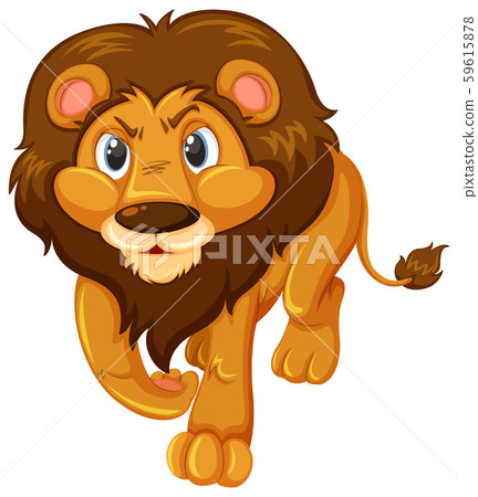 A lion on white backgroud A lion on white backgroud 59615878