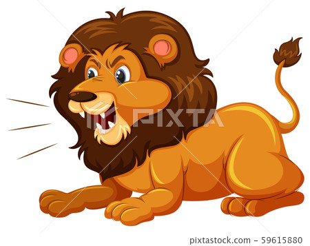 A lion on white background A lion on white background 59615880