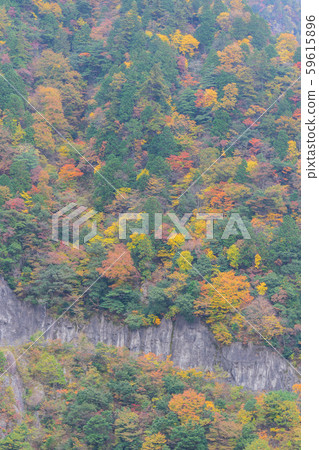 德山大壩8573 59615896