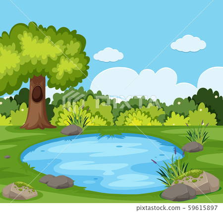 A pond in the nature 59615897