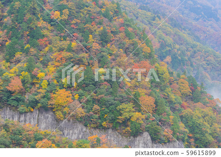 德山大壩8567 59615899