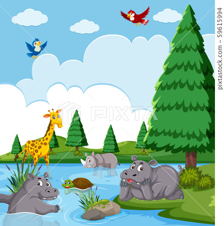 Happy animals in the lake Happy animals in the lake 59615994