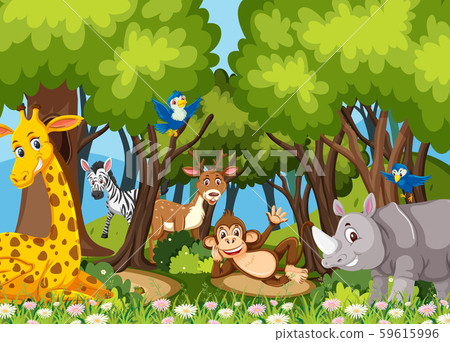 Animals in the jungle 59615996