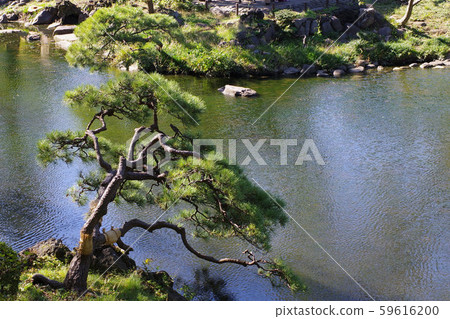 日比谷公園的風景 日比谷公園的風景 59616200