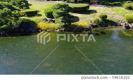 日比谷公園的風景 日比谷公園的風景 59616202