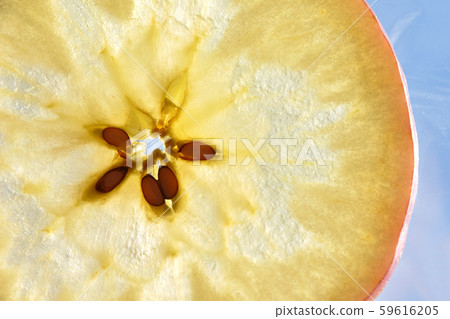 蘋果片(Kotoku) 蘋果片(Kotoku) 59616205