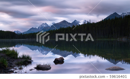 Icefield Parkway, Banff National Park, Alberta, 59616401
