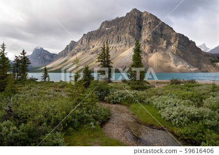 Icefield Parkway, Banff National Park, Alberta, 59616406