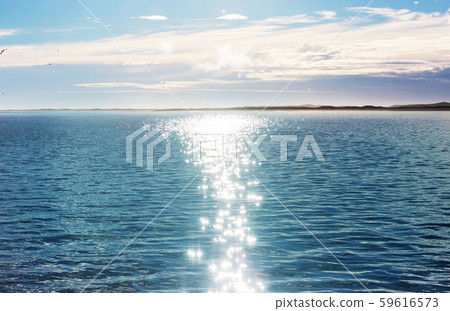Sea Sea 59616573