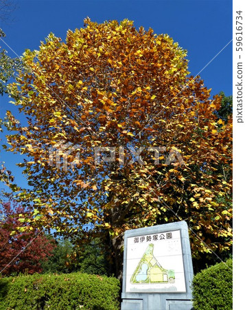 三重塚公園 三重塚公園 59616734