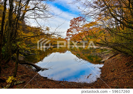  秋葉和湖 59617260