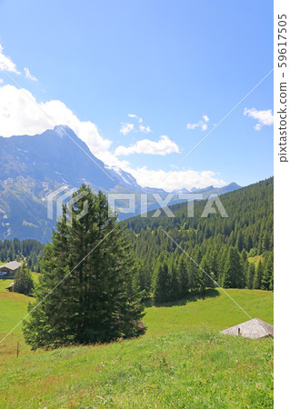 Switzerland's beautiful scenery 59617505