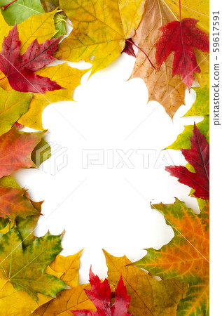 Border frame of colorful autumn maple leaves Border frame of colorful autumn maple leaves 59617591