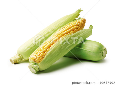 Corn cobs isolated on white background Corn cobs isolated on white background 59617592