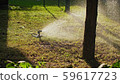 splashing water on trees and grass 59617723