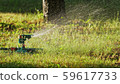 automatic sprinkler watering trees and grass 59617733