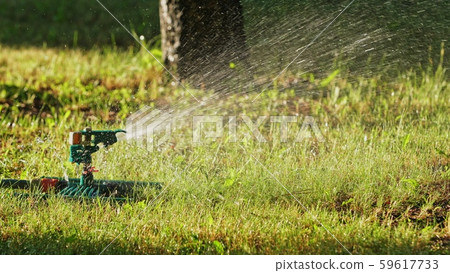 automatic sprinkler watering trees and grass automatic sprinkler watering trees and grass 59617733