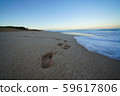 Tracks left by a child on the sandy beach with a water wave 59617806