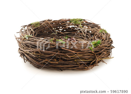 Studio shot of an empty bird nest 59617890