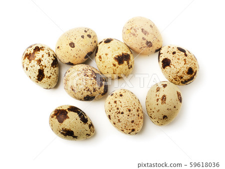Quail eggs Quail eggs 59618036