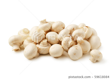 Mushrooms champignon isolated 59618084