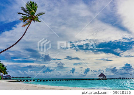 馬爾代夫 59618136