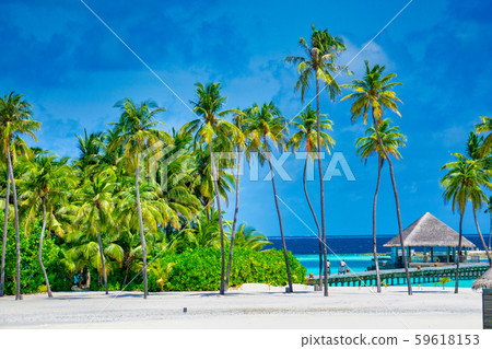 馬爾代夫 59618153