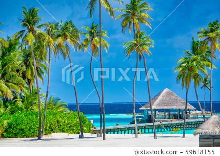 馬爾代夫 59618155