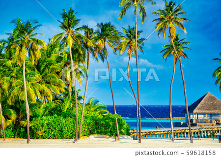 馬爾代夫 59618158