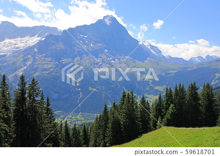 夏天美麗的瑞士風景 夏天美麗的瑞士風景 59618701