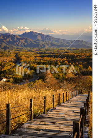 Kiyosato Kogen in autumn 59618844