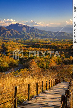 Kiyosato Kogen in autumn 59618845