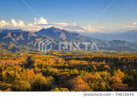 Kiyosato Kogen in autumn 59618848