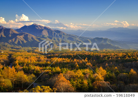 Kiyosato Kogen in autumn 59618849