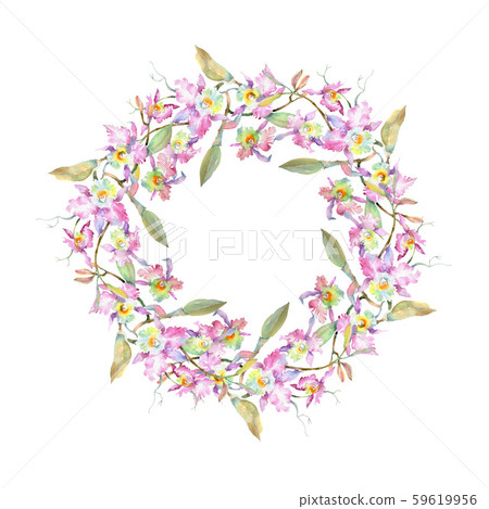 Bouquet of pink orchid. Floral botanical flowers. Watercolor background illustration set. Frame Bouquet of pink orchid. Floral botanical flowers. Watercolor background illustration set. Frame 59619956