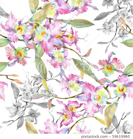 Bouquet of pink orchid. Floral botanical flowers. Watercolor background illustration set. Seamless Bouquet of pink orchid. Floral botanical flowers. Watercolor background illustration set. Seamless 59619960