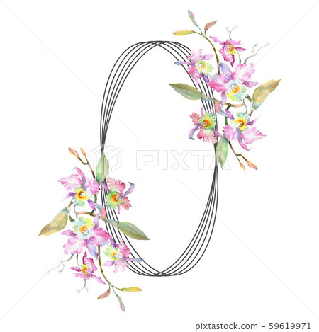 Bouquet of pink orchid. Floral botanical flowers. Watercolor background illustration set. Frame Bouquet of pink orchid. Floral botanical flowers. Watercolor background illustration set. Frame 59619971