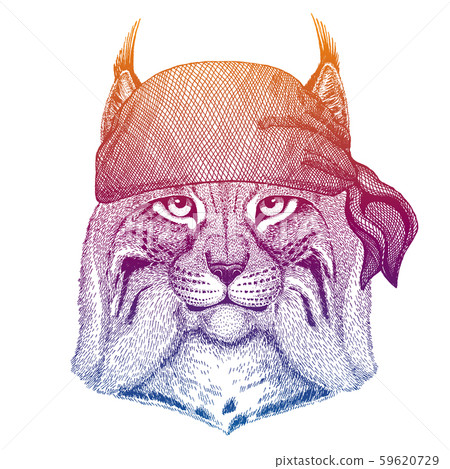 Eurasian lynx. Wild pirate or biker. Vector animal portrait. Sailor, motorcyclist. Print for 59620729