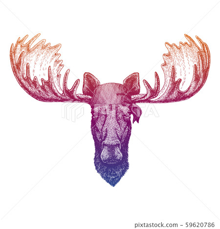 Moose elk. Wild pirate or biker. Vector animal portrait. Sailor, motorcyclist. Print for children Moose elk. Wild pirate or biker. Vector animal portrait. Sailor, motorcyclist. Print for children 59620786