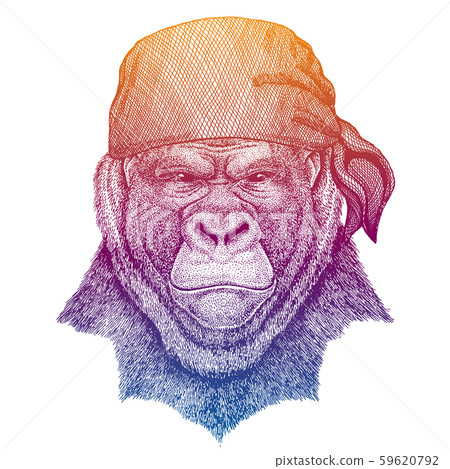 Gorilla, monkey, ape. Wild pirate or biker. Vector animal portrait. Sailor, motorcyclist. Print for Gorilla, monkey, ape. Wild pirate or biker. Vector animal portrait. Sailor, motorcyclist. Print for 59620792